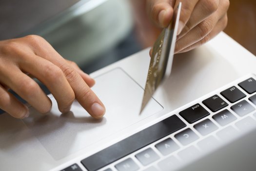 person holding a credit card in front of laptop, credit monitoring, privacy guard